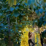 בית נופש The Artist's Farm