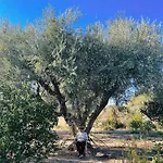 בית נופש The Artist's Farm