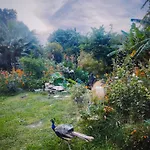 The Artist's Farm בית נופש *