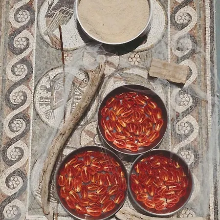 The Artist's Farm Vakantiehuis