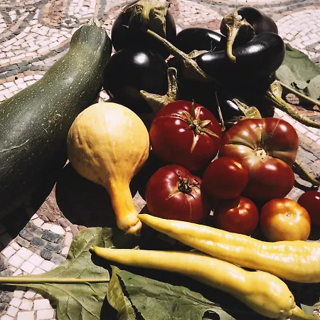 The Artist's Farm Vakantiehuis