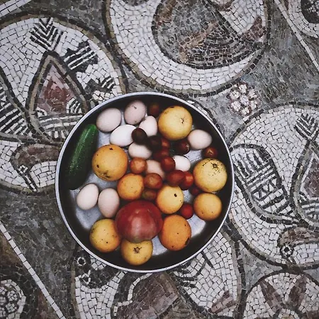 Vakantiehuis The Artist's Farm Dhiyellótika