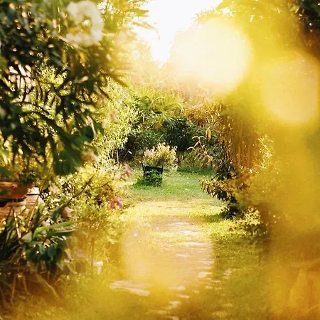 The Artist's Farm * Dhiyellótika