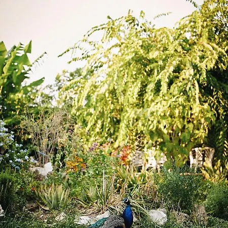 Hébergement de vacances The Artist's Farm *