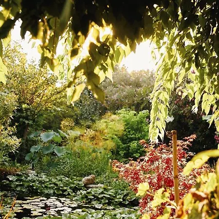 The Artist's Farm * Dhiyellótika