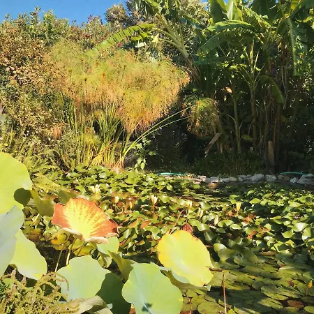 The Artist's Farm Vakantiehuis Dhiyellótika