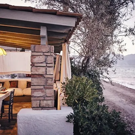 The Artist's Farm * Διγελιώτικα