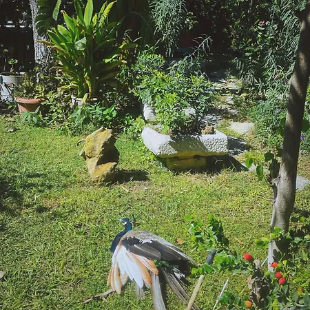 The Artist's Farm Vakantiehuis *