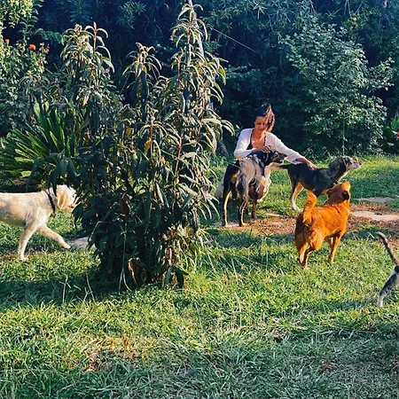 Vakantiehuis The Artist's Farm *