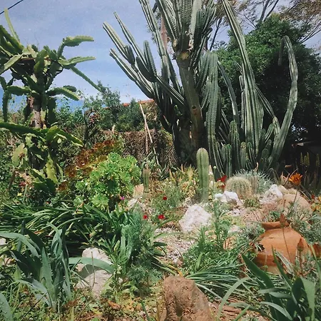 בית נופש The Artist's Farm Dhiyellótika