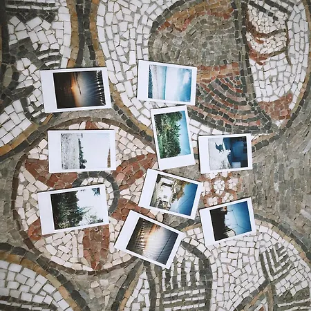 The Artist's Farm Vakantiehuis *