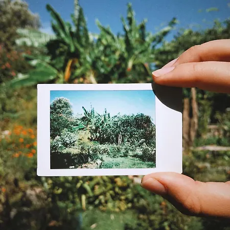 בית נופש The Artist's Farm *