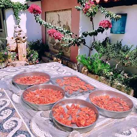 Vakantiehuis The Artist's Farm *