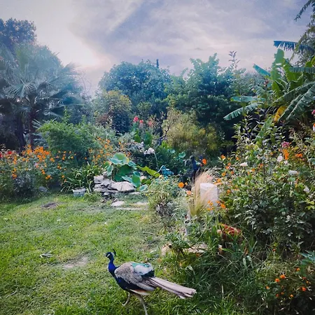 The Artist's Farm Vakantiehuis *