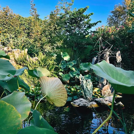 The Artist's Farm Vakantiehuis *