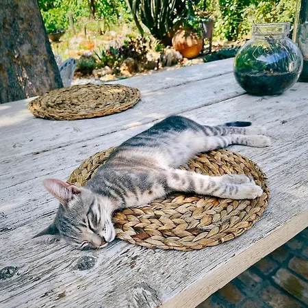 The Artist's Farm Ferienhaus