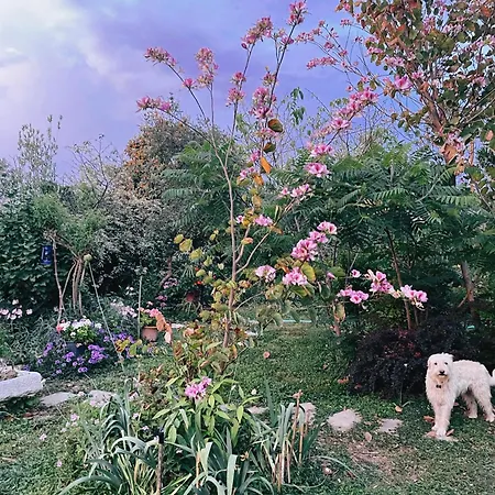 Vakantiehuis The Artist's Farm Dhiyellótika