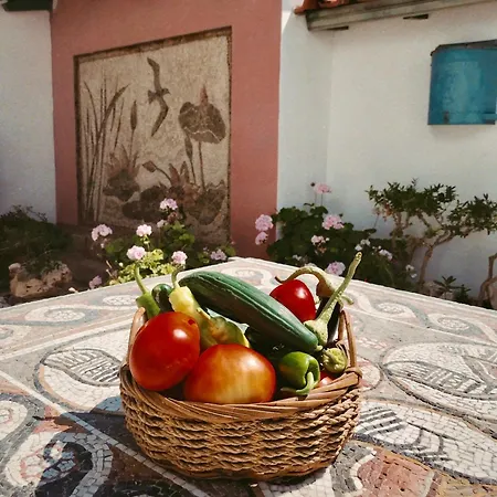 The Artist's Farm Dhiyellótika