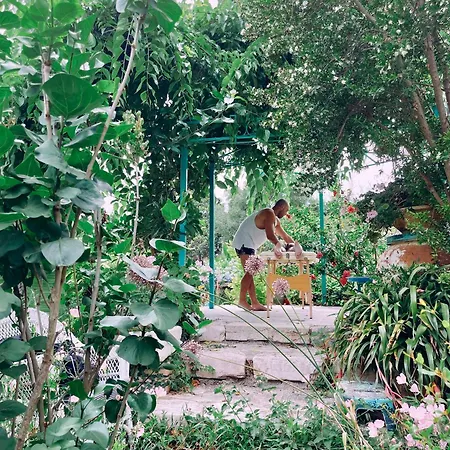 The Artist's Farm * Dhiyellótika