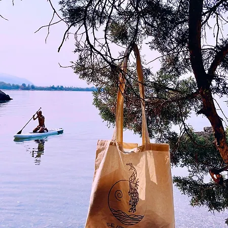 The Artist's Farm * Dhiyellótika