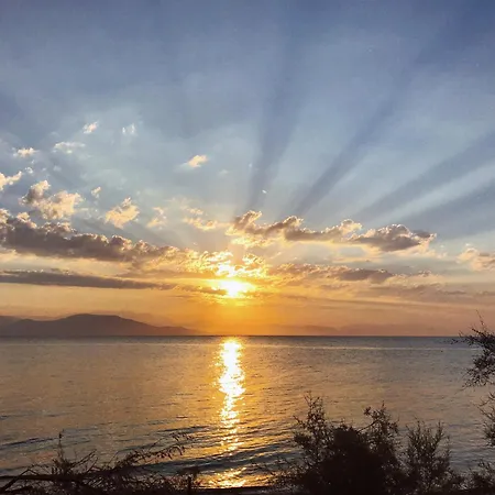 The Artist's Farm Vakantiehuis