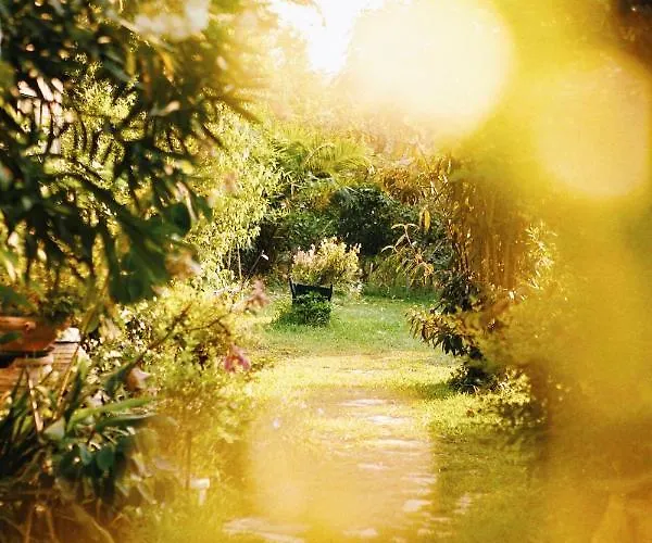 The Artist's Farm * Dhiyellótika