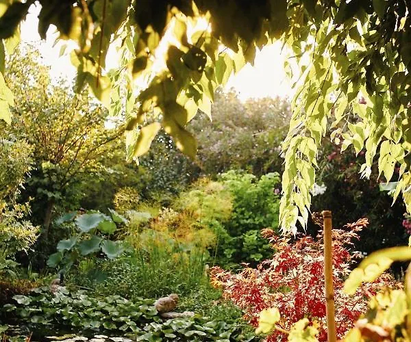 The Artist's Farm * Dhiyellótika