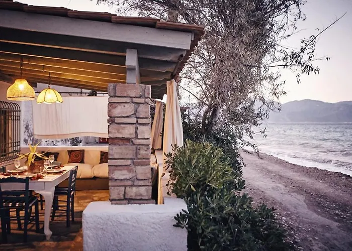 The Artist's Farm * Dhiyellótika