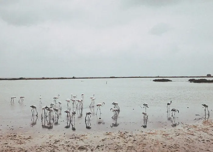 Σπίτι διακοπών The Artist's Farm Διγελιώτικα