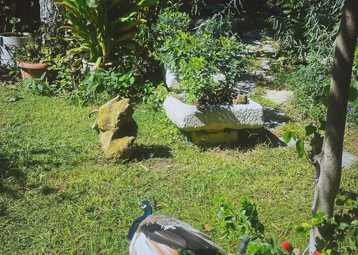 The Artist's Farm Ferienhaus *