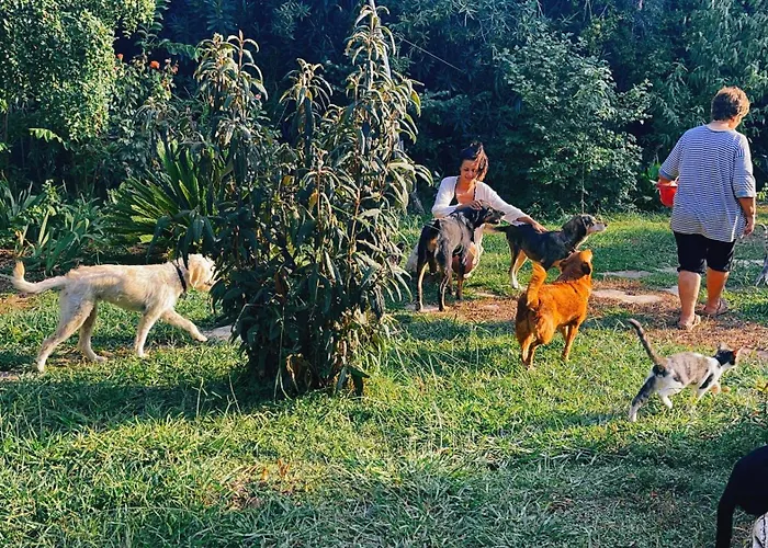 Сasa de vacaciones The Artist's Farm *