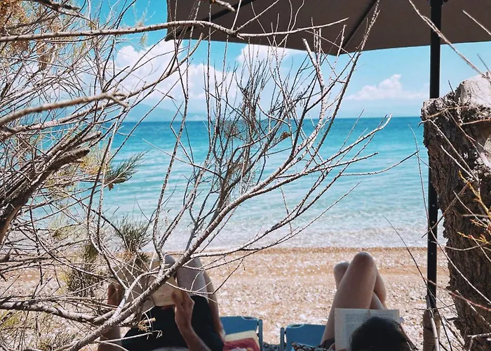 The Artist's Farm 別荘 *