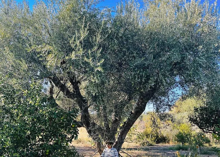 Ferienhaus The Artist's Farm