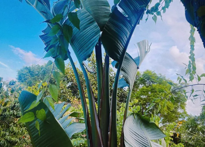 The Artist's Farm Ferienhaus Dhiyellótika