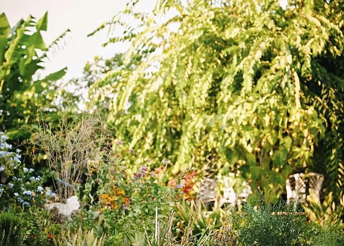 The Artist's Farm * Dhiyellótika