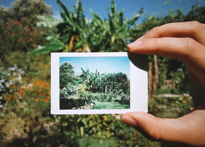 別荘 The Artist's Farm *