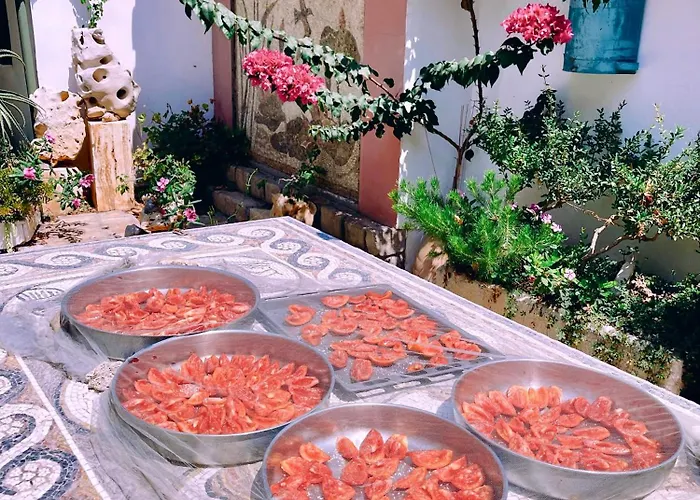 別荘 The Artist's Farm *