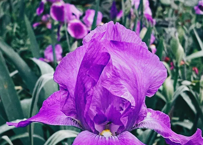 Сasa de vacaciones The Artist's Farm *