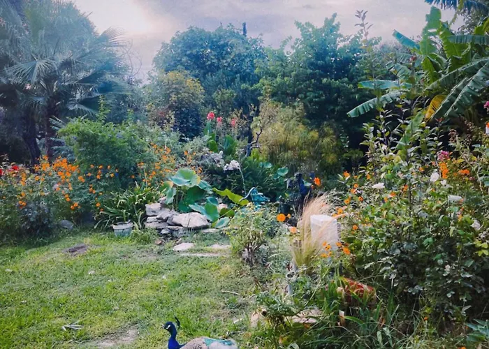 The Artist's Farm 別荘 *