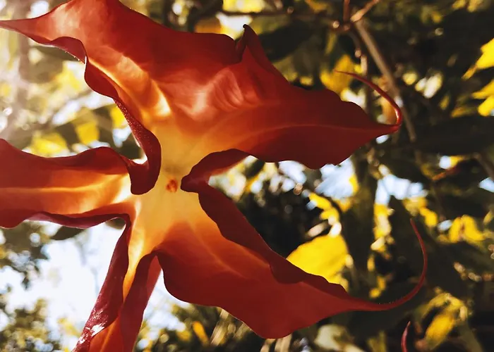 Сasa de vacaciones The Artist's Farm *