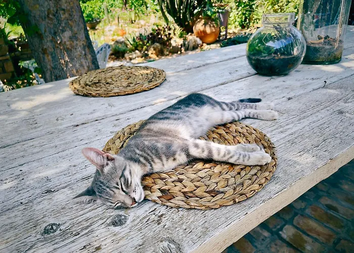 The Artist's Farm Сasa de vacaciones