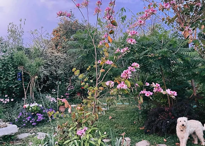 Сasa de vacaciones The Artist's Farm Dhiyellótika