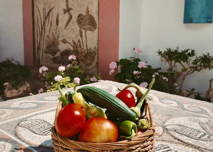 The Artist's Farm Dhiyellótika