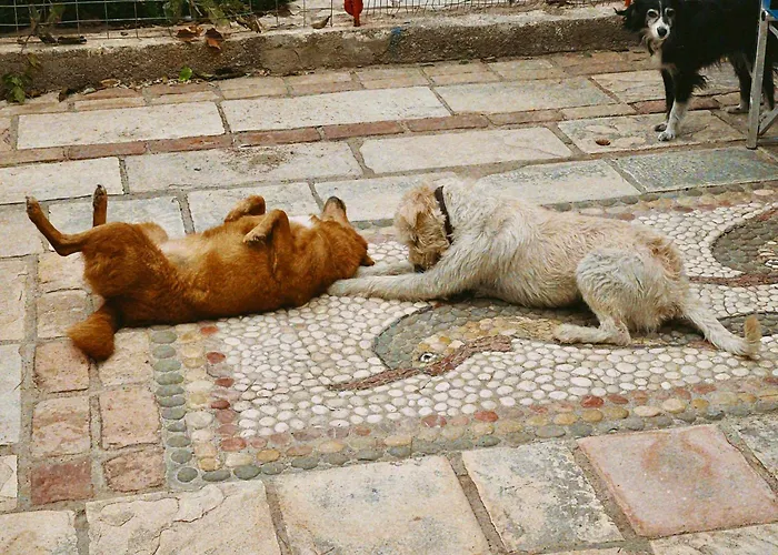 The Artist's Farm 別荘