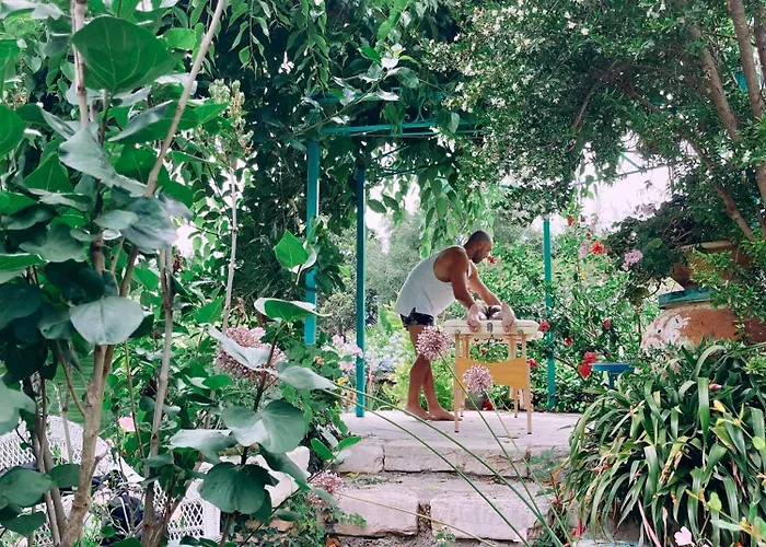 The Artist's Farm * Dhiyellótika