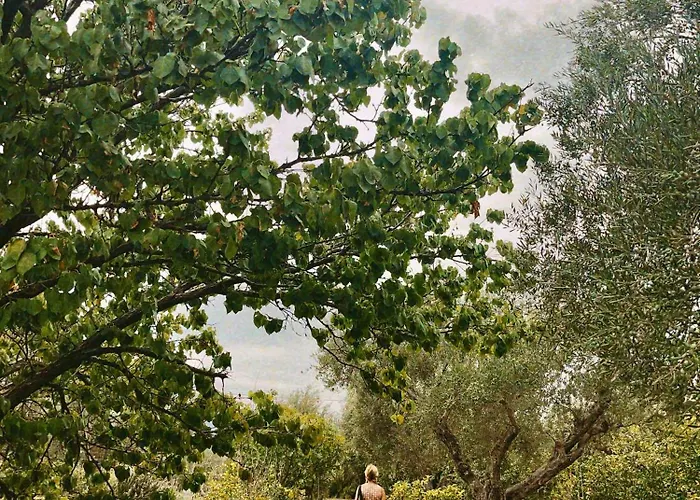 The Artist's Farm * Dhiyellótika