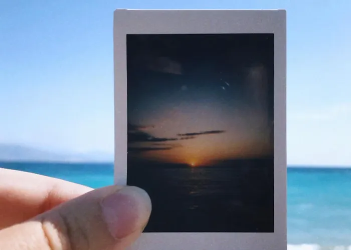 The Artist's Farm * Dhiyellótika