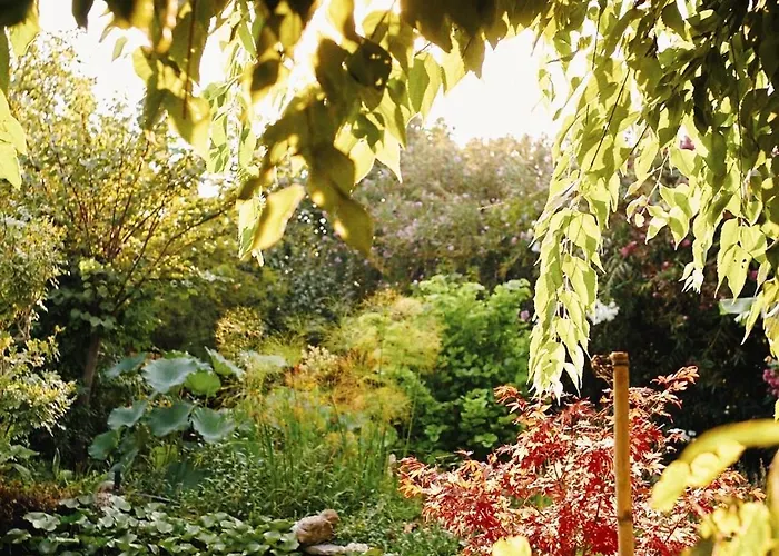 The Artist's Farm Dhiyellótika