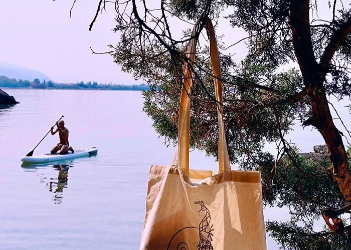 The Artist's Farm * Dhiyellótika