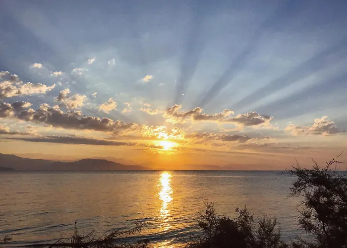 The Artist's Farm 別荘